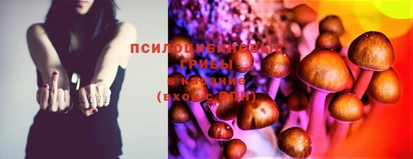 ПСИЛОЦИБИНОВЫЕ ГРИБЫ Балахна
