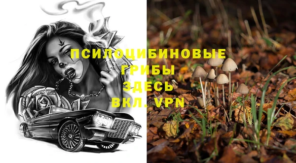 ПСИЛОЦИБИНОВЫЕ ГРИБЫ Балахна
